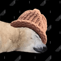 polarbearwifhat